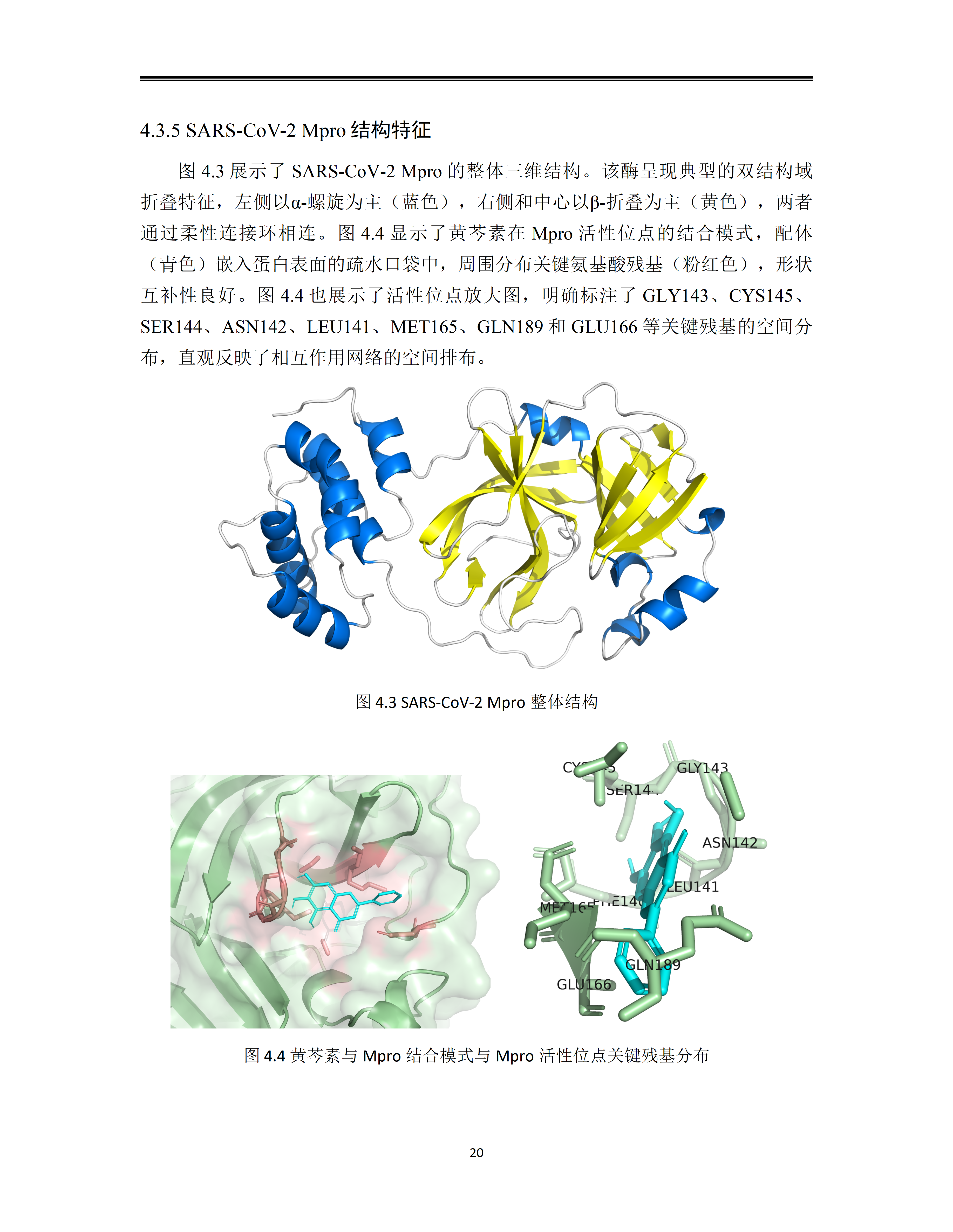 Bio Showcase